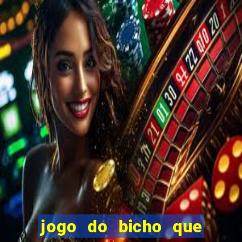 jogo do bicho que da dinheiro