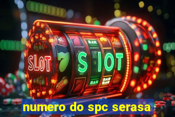 numero do spc serasa