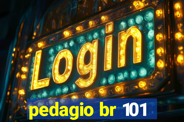 pedagio br 101