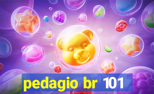 pedagio br 101