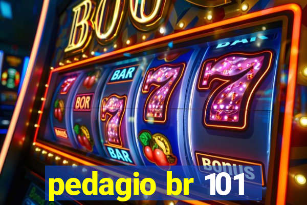 pedagio br 101