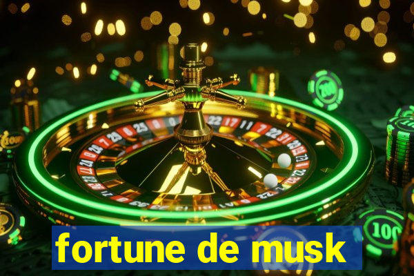 fortune de musk