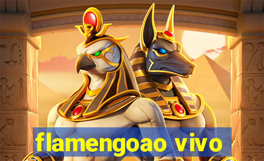 flamengoao vivo