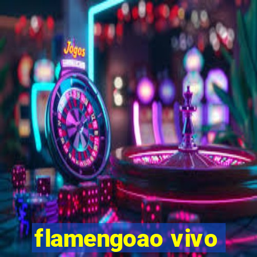 flamengoao vivo