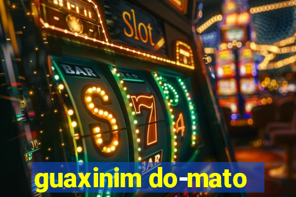 guaxinim do-mato