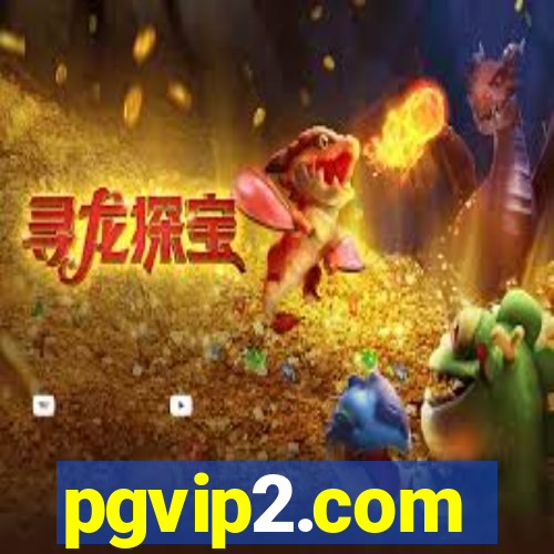 pgvip2.com