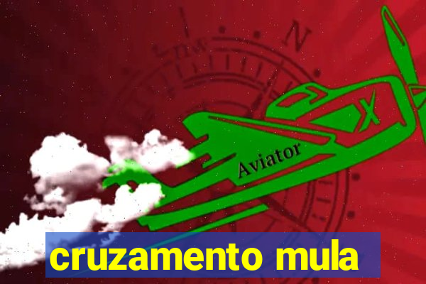 cruzamento mula