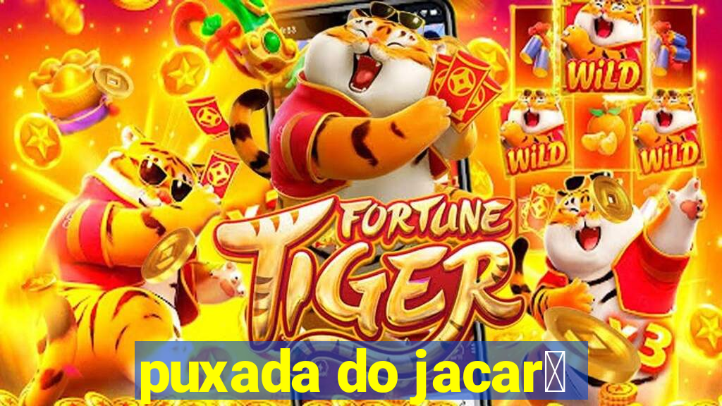 puxada do jacar茅