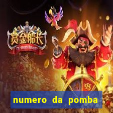 numero da pomba jogo do bicho