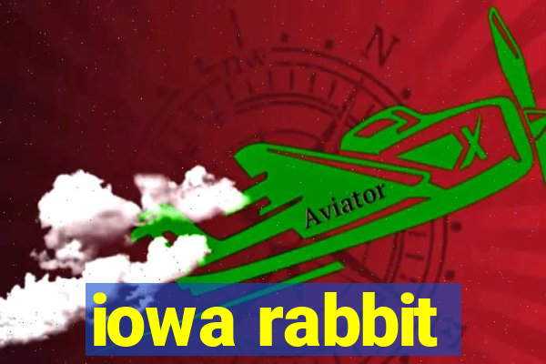 iowa rabbit