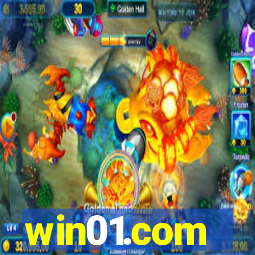 win01.com