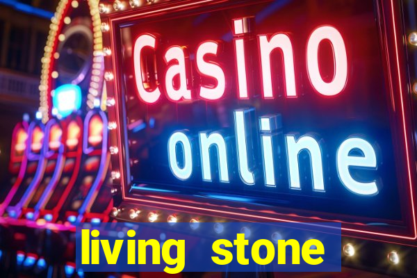 living stone network tv