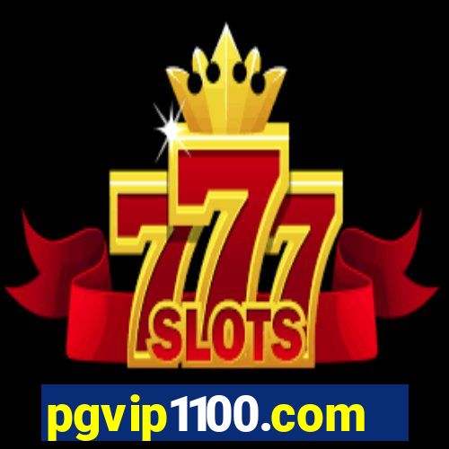 pgvip1100.com