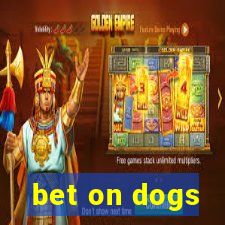 bet on dogs