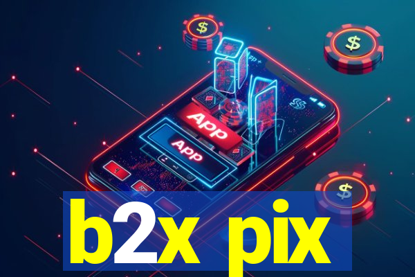 b2x pix