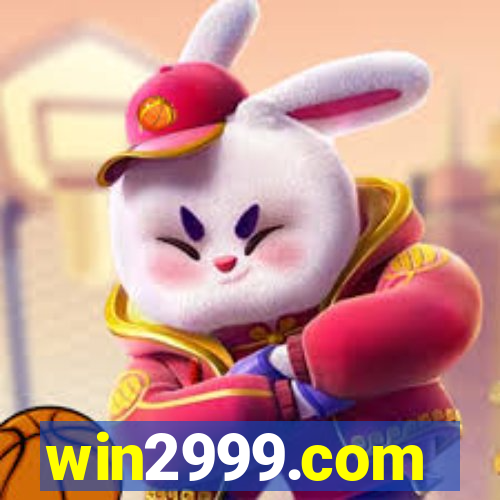 win2999.com