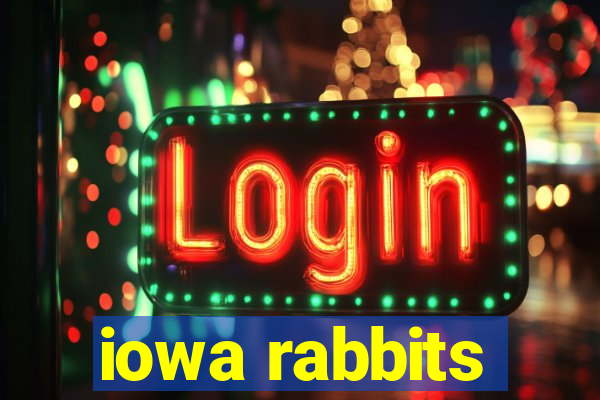 iowa rabbits