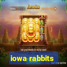 iowa rabbits