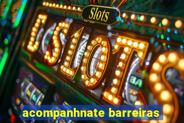 acompanhnate barreiras