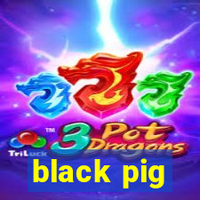 black pig