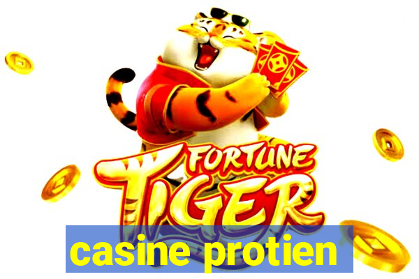 casine protien