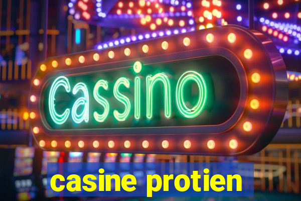 casine protien