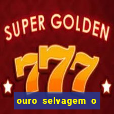 ouro selvagem o que aconteceu na vida