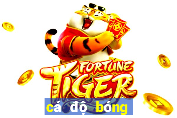 cá độ bóng đá online