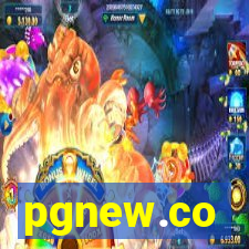 pgnew.co