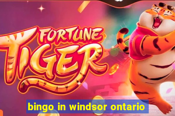 bingo in windsor ontario