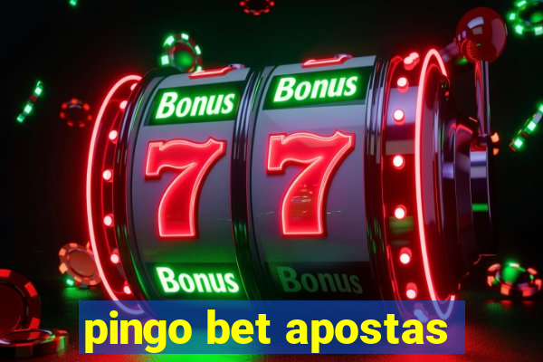 pingo bet apostas