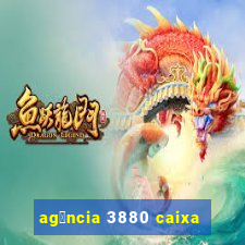 ag锚ncia 3880 caixa