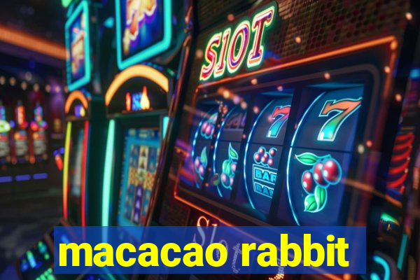 macacao rabbit