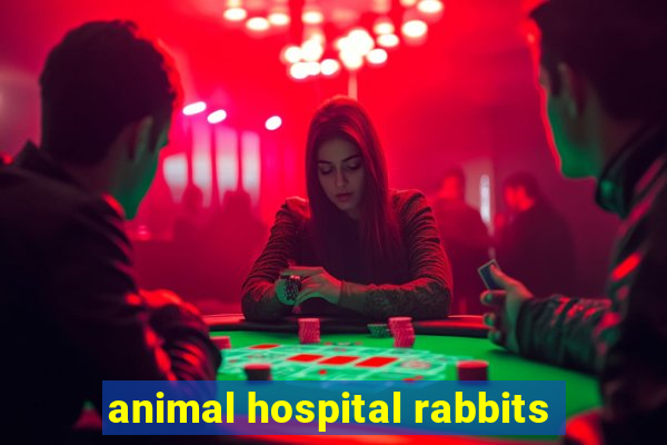 animal hospital rabbits