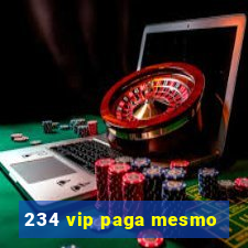 234 vip paga mesmo