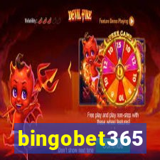 bingobet365