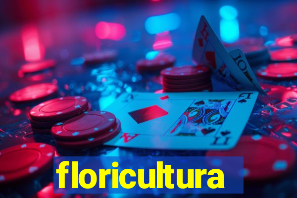 floricultura cruzeiro novo