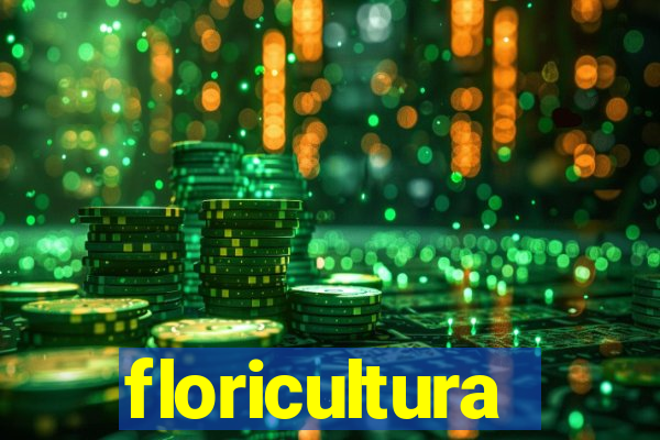 floricultura cruzeiro novo