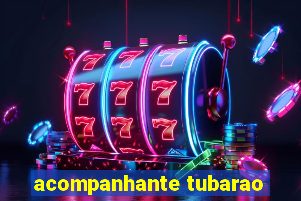 acompanhante tubarao