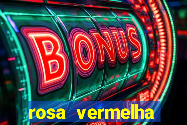 rosa vermelha (letra e cifra)