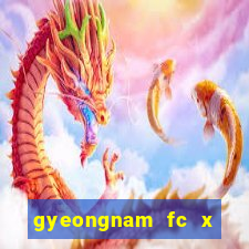 gyeongnam fc x jeonnam dragons