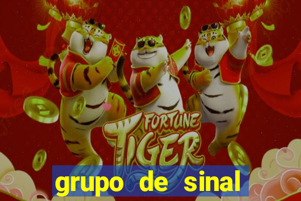 grupo de sinal fortune tiger