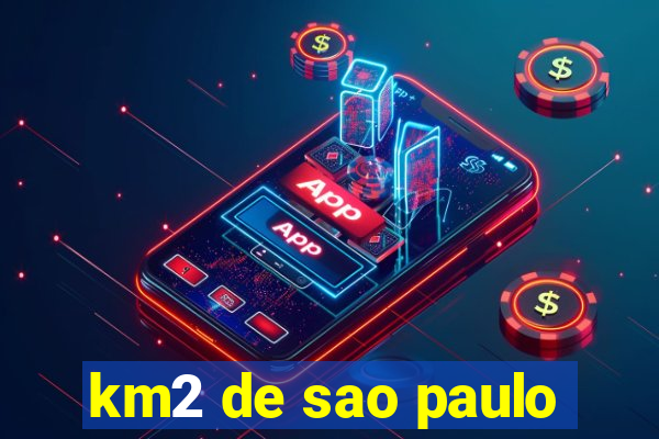 km2 de sao paulo