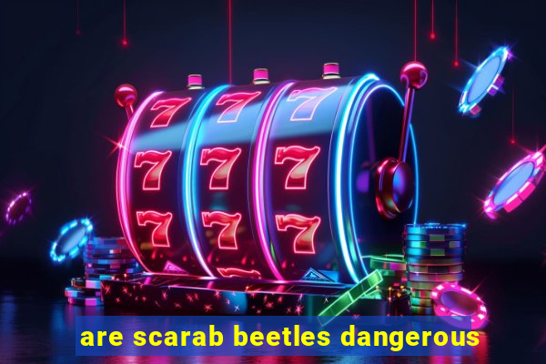 are scarab beetles dangerous