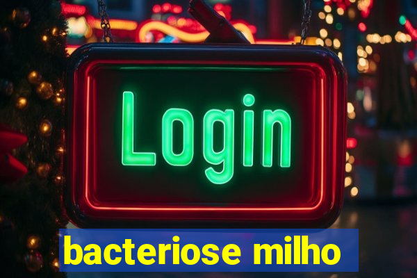 bacteriose milho