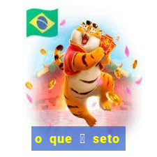 o que 茅 seto altos par芒metros