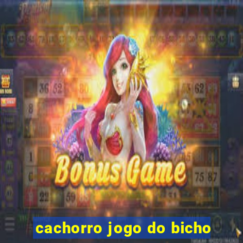 cachorro jogo do bicho