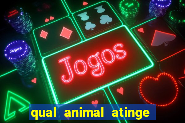 qual animal atinge 230 decibeis