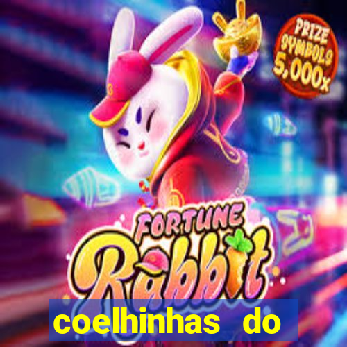 coelhinhas do brasil site