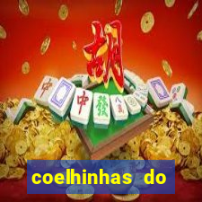 coelhinhas do brasil site